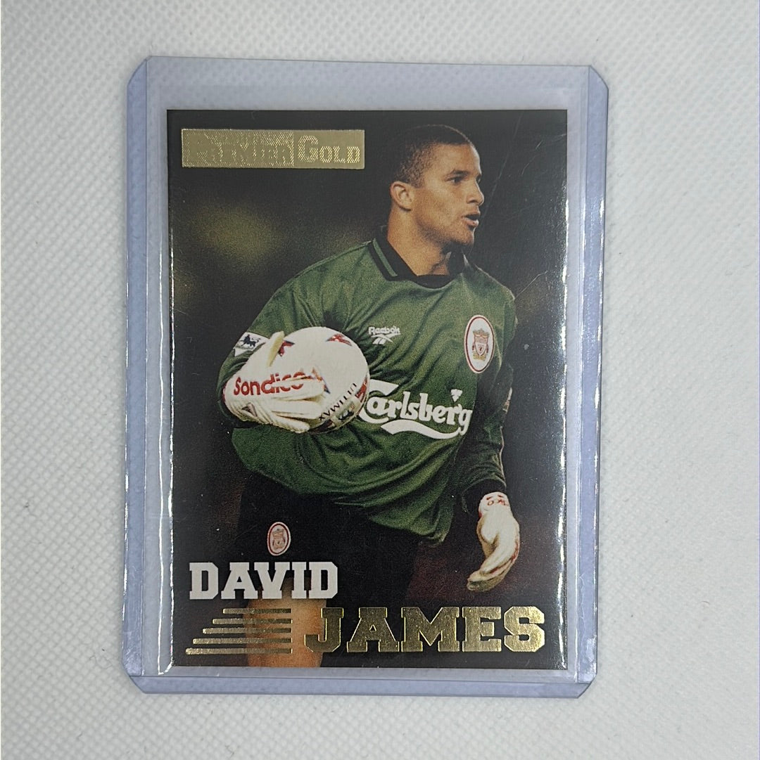 David James 1996-97 Merlin Premier Gold